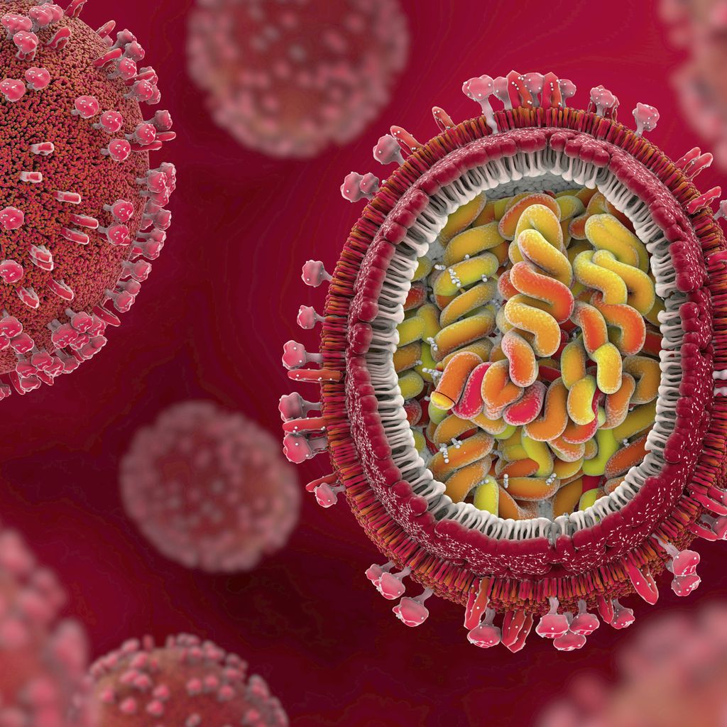 Jetzt Kommen Die Viren Gastroenterologie Universimed Medizin Im Fokus 250-000-euro-anlegen-die-besten-tipps-capital-de